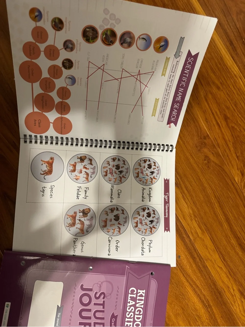 TGAB Kingdoms and Classification Science Unit Study